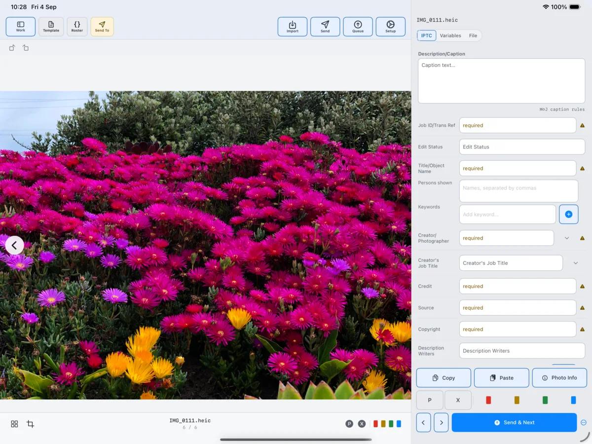 PressKit Pro workspace on iPad with the selected frame and caption panel