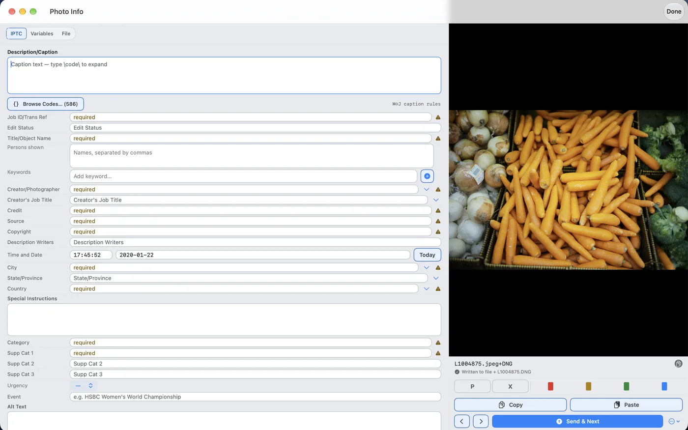 PressKit metadata detail view with IPTC fields beside the selected frame